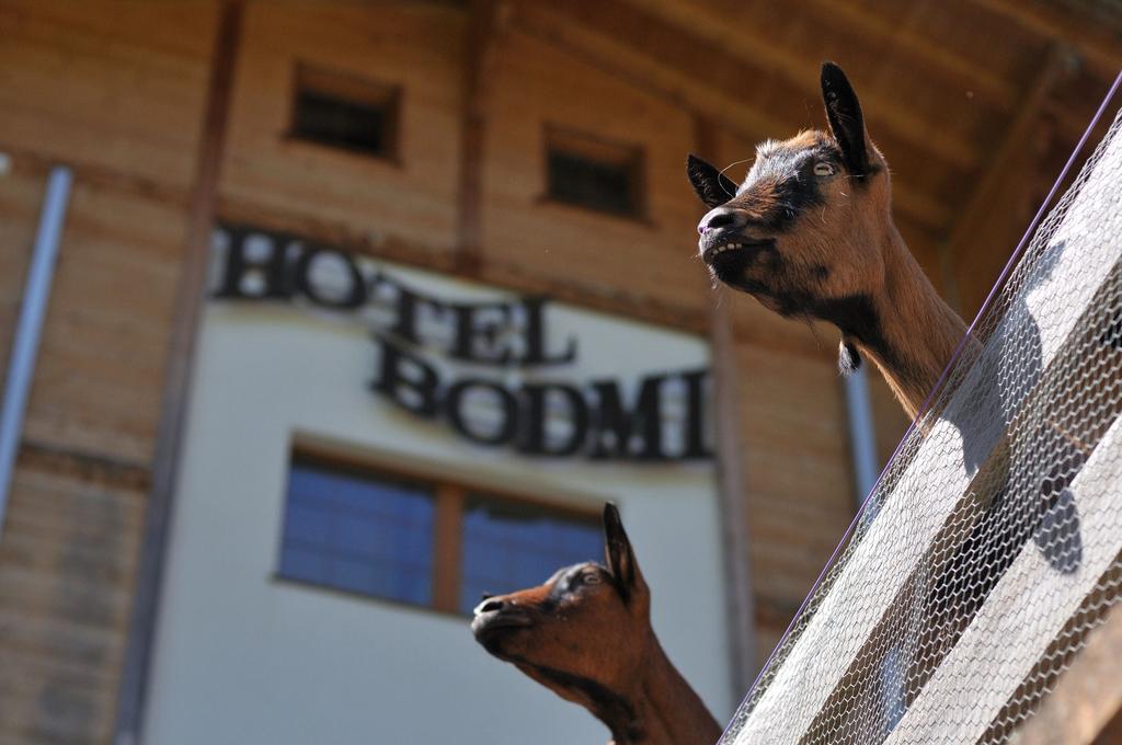 Hotel Bodmi Γκρίντελβαλντ Εξωτερικό φωτογραφία